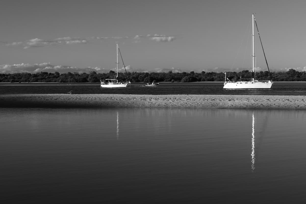canon 80d monochrome setting